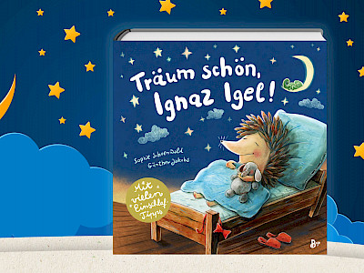 Gute-Nacht-Geschichte: Träum schön, Ignaz Igel!